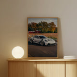 Perfect Porsche GT3RS Print
